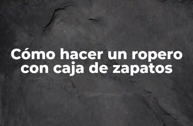 Cómo Hacer un Ropero con Caja de Zapatos