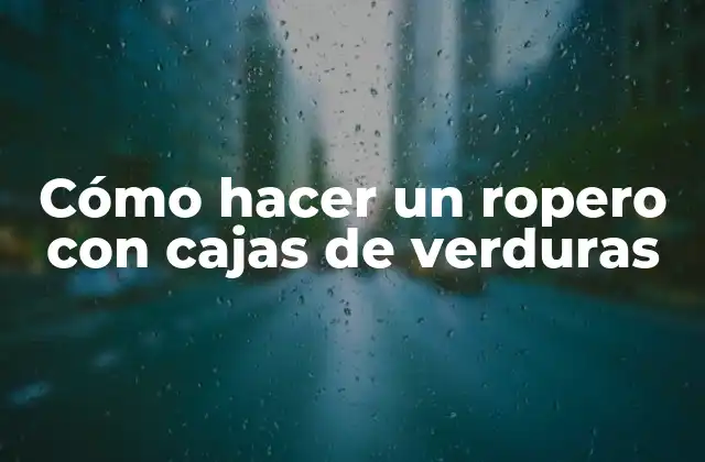 Cómo Hacer un Ropero con Cajas de Verduras