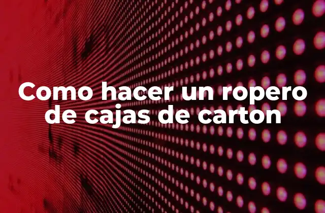 Como Hacer un Ropero de Cajas de Carton