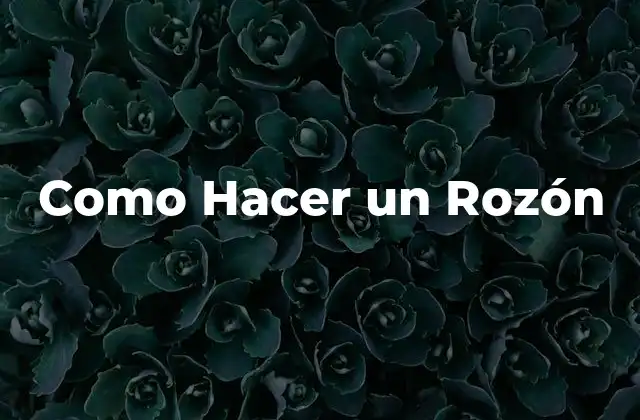 Como Hacer un Rozón 2 ¿Qué es un Rozón y para Qué Sirve?