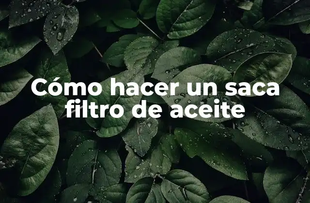 Cómo Hacer un Saca Filtro de Aceite 2 ¿Qué es un saca filtro de aceite y para qué sirve?