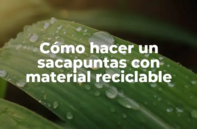 Cómo Hacer un Sacapuntas con Material Reciclable 2 ¿Qué es un sacapuntas y para qué sirve?