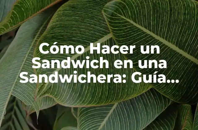 Cómo Hacer un Sandwich en una Sandwichera: Guía Completa y Detallada