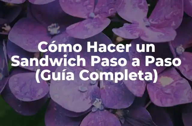 Cómo Hacer un Sandwich Paso a Paso (guía Completa)