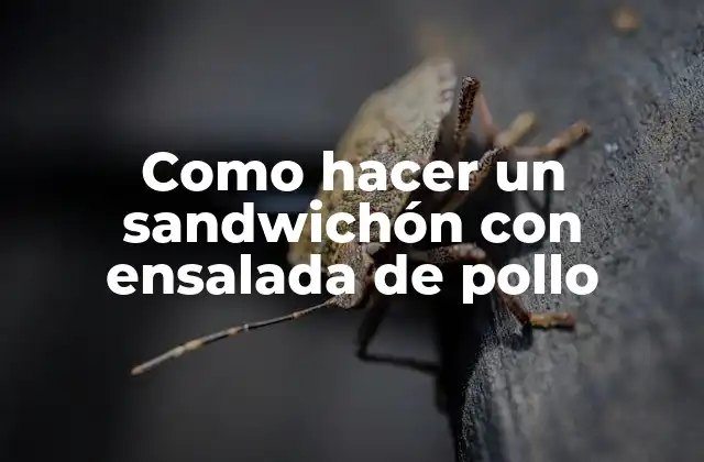 Como Hacer un Sandwichón con Ensalada de Pollo