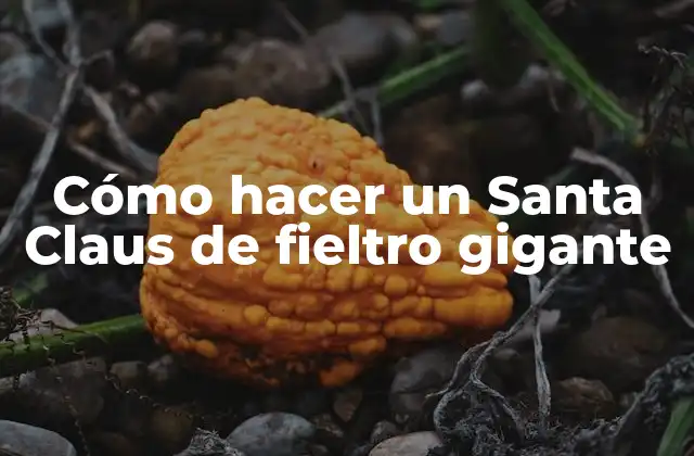 Cómo Hacer un Santa Claus de Fieltro Gigante