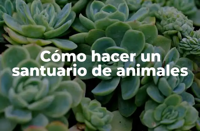 Cómo Hacer un Santuario de Animales