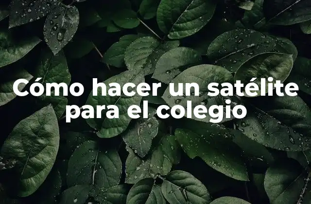Cómo Hacer un Satélite para el Colegio
