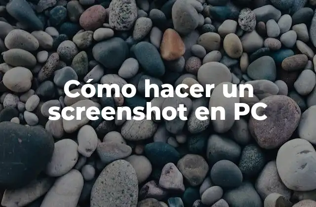 Cómo Hacer un Screenshot en Pc
