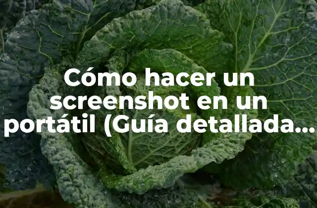 Cómo Hacer un Screenshot en un Portátil (guía Detallada y Práctica)