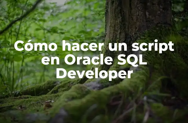 Cómo Hacer un Script en Oracle Sql Developer