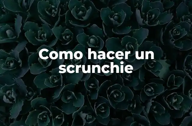 Como Hacer un Scrunchie