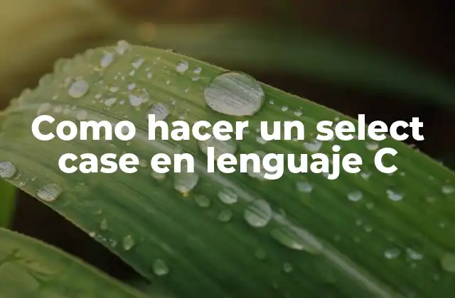 Como Hacer un Select Case en Lenguaje C 2 ¿Qué es un select case en lenguaje C?