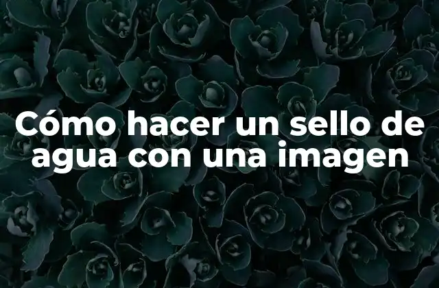 Cómo Hacer un Sello de Agua con una Imagen