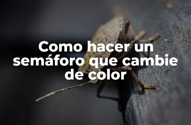 Como Hacer un Semáforo que Cambie de Color
