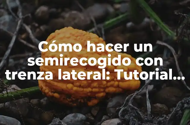 Cómo Hacer un Semirecogido con Trenza Lateral: Tutorial Paso a Paso