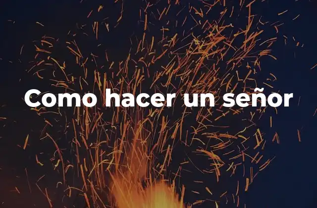 ¿Qué es un señor y para qué sirve?