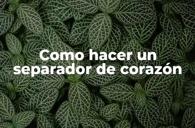 Como Hacer un Separador de Corazón