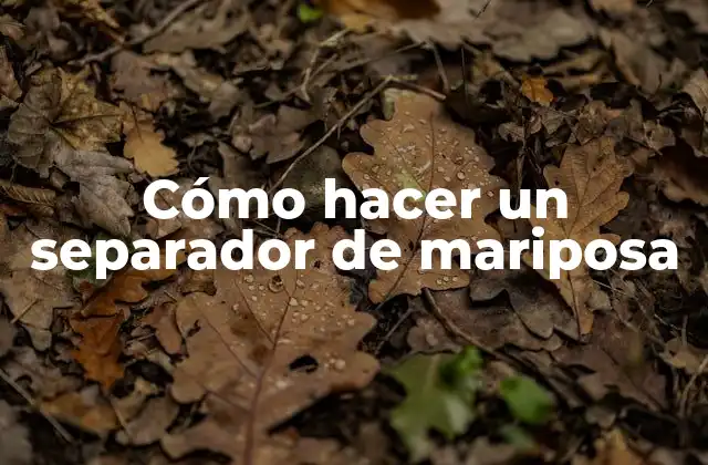 Cómo Hacer un Separador de Mariposa