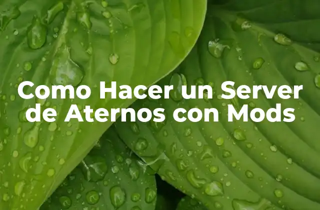 Como Hacer un Server de Aternos con Mods