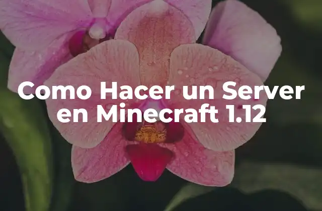¿Qué es un Servidor en Minecraft 1.12?