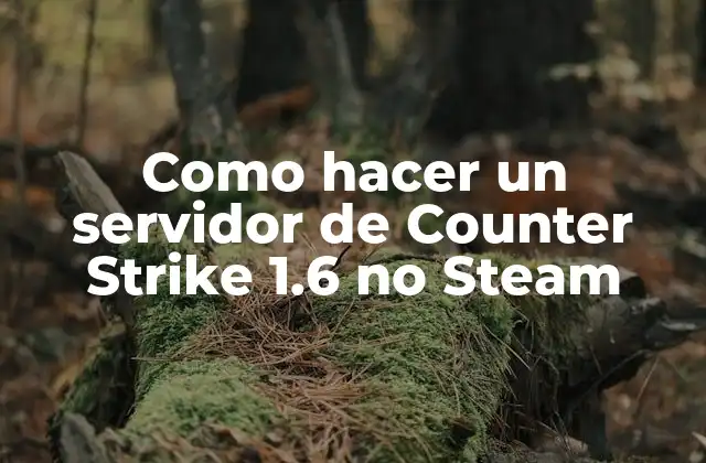 Como Hacer un Servidor de Counter Strike 1.6 No Steam