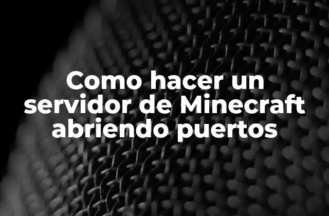 Como Hacer un Servidor de Minecraft Abriendo Puertos