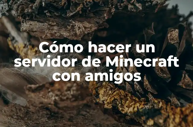 Cómo Hacer un Servidor de Minecraft con Amigos