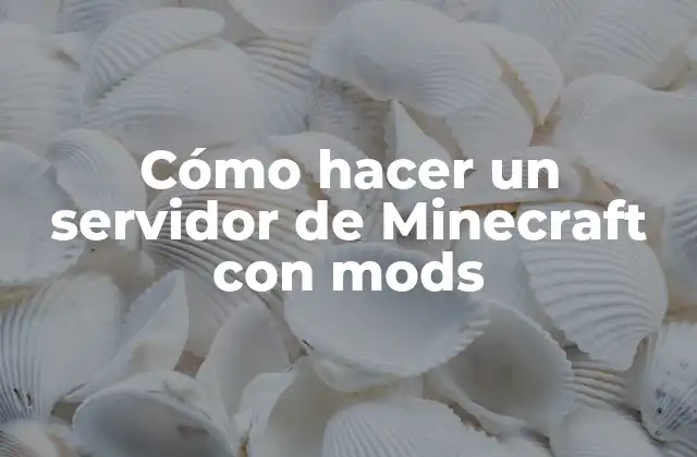 Cómo Hacer un Servidor de Minecraft con Mods