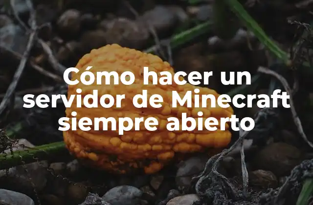 Cómo Hacer un Servidor de Minecraft Siempre Abierto