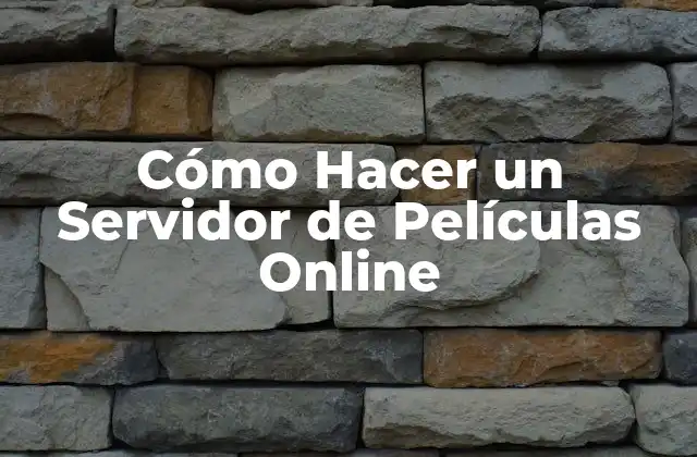 Cómo Hacer un Servidor de Películas Online 2 ¿Qué es un Servidor de Películas Online?