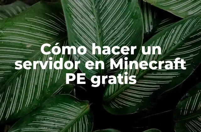 Cómo Hacer un Servidor en Minecraft Pe Gratis
