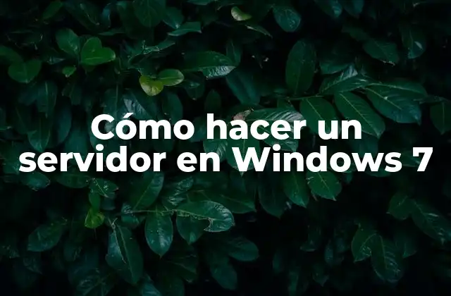 Cómo Hacer un Servidor en Windows 7