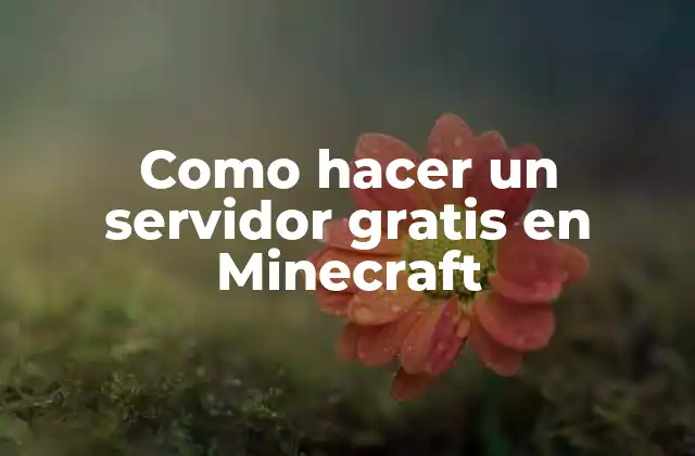 ¿Qué es un servidor Minecraft y para qué sirve?
