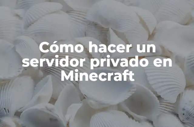 Cómo Hacer un Servidor Privado en Minecraft