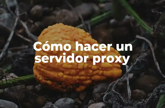 Cómo Hacer un Servidor Proxy