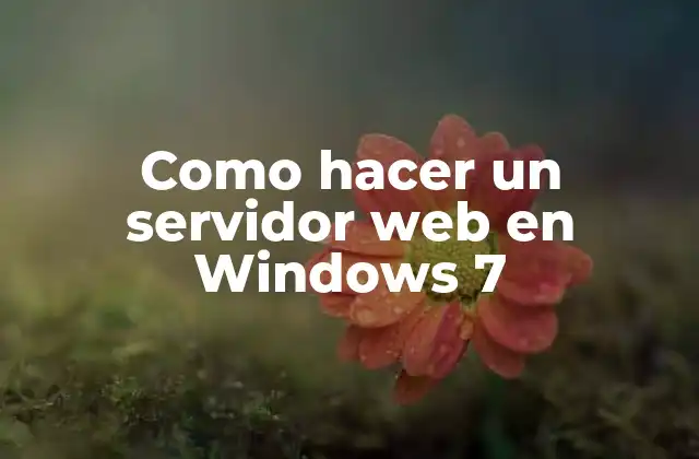 Como Hacer un Servidor Web en Windows 7