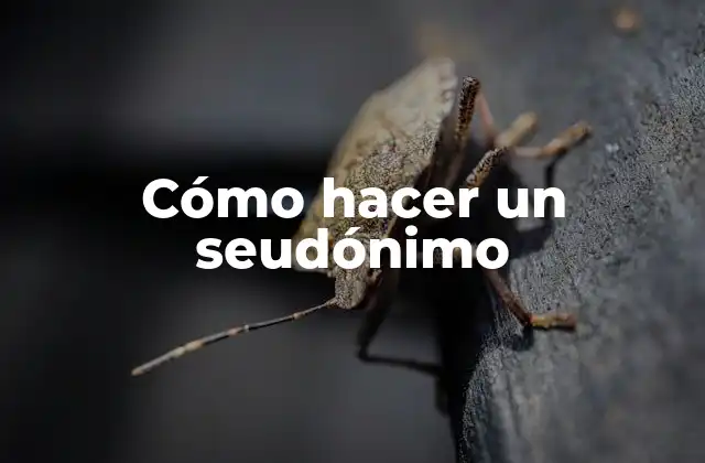 Cómo Hacer un Seudónimo