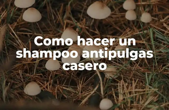 Como Hacer un Shampoo Antipulgas Casero