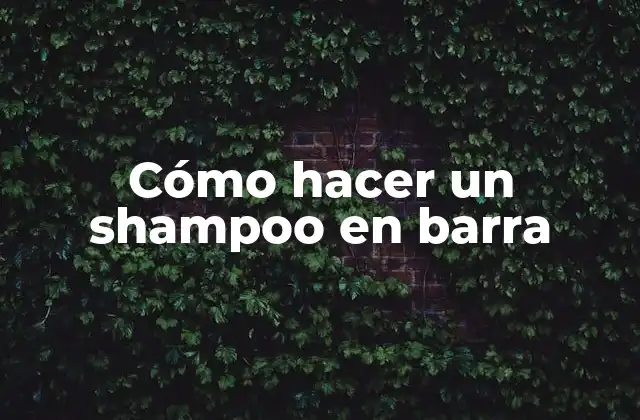 Cómo Hacer un Shampoo en Barra