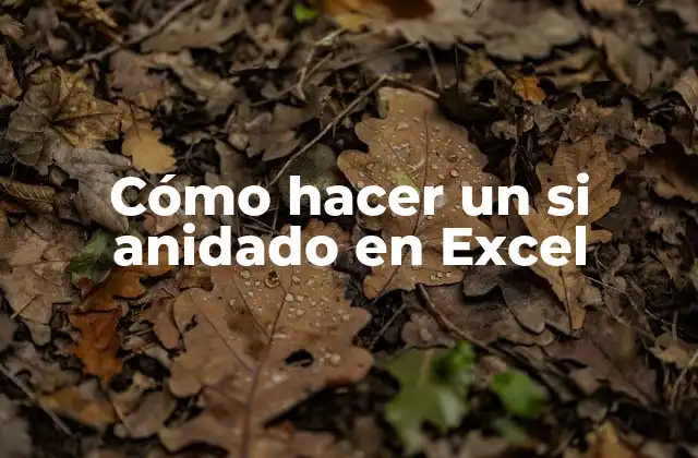 Cómo Hacer un Si Anidado en Excel