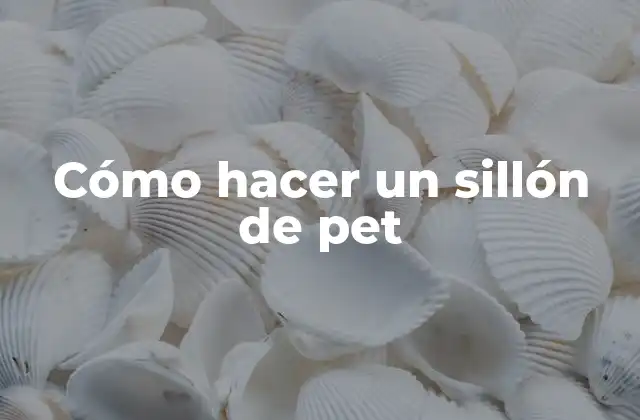 Cómo Hacer un Sillón de Pet