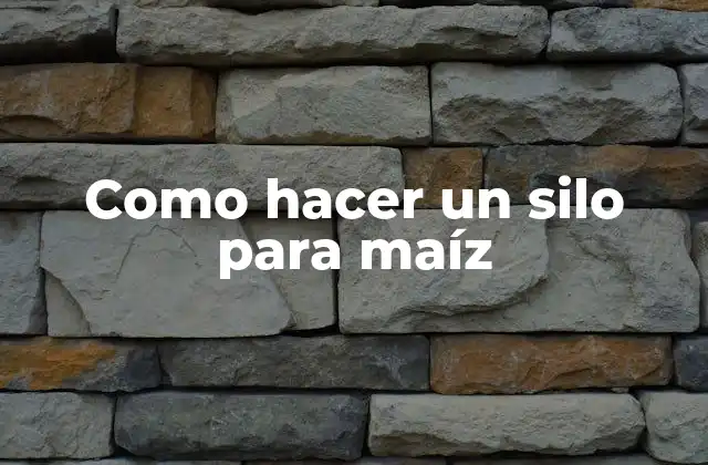 Como Hacer un Silo para Maíz
