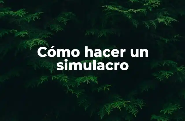 Cómo Hacer un Simulacro