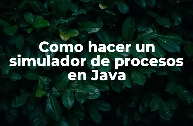 Como Hacer un Simulador de Procesos en Java 2 ¿Qué es un simulador de procesos en Java?