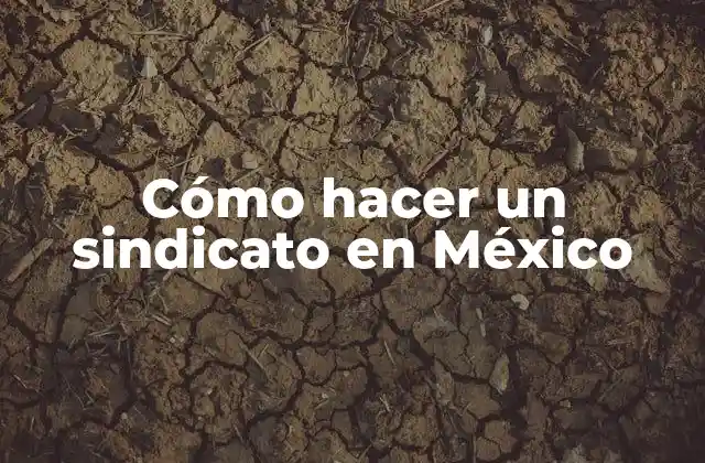 Cómo Hacer un Sindicato en México