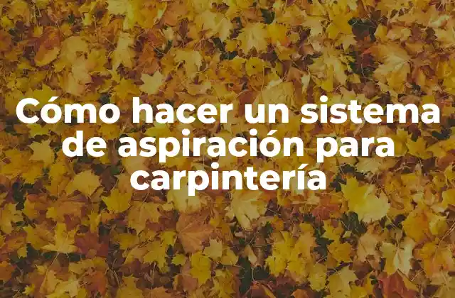 Cómo Hacer un Sistema de Aspiración para Carpintería