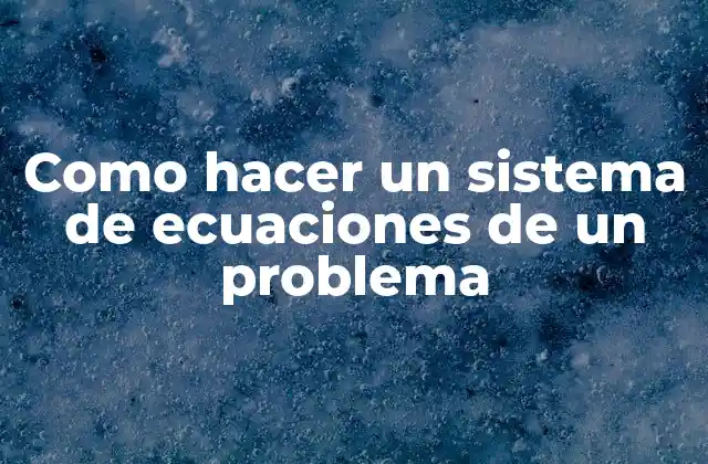 Como Hacer un Sistema de Ecuaciones de un Problema