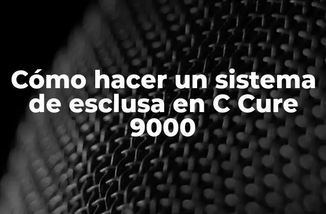 Cómo Hacer un Sistema de Esclusa en C Cure 9000