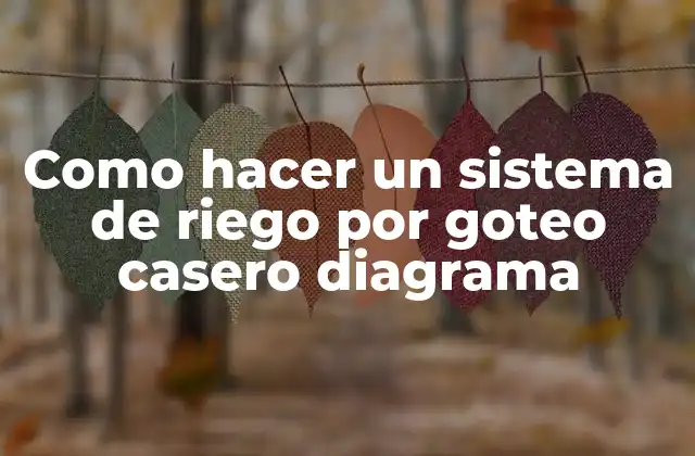 Como Hacer un Sistema de Riego por Goteo Casero Diagrama